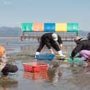 고창장호어촌체험휴양마을 이미지