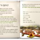 에버랜드코키아페스티벌 네이버블로그