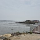 바닷가에서 이미지