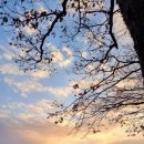 축제노래방 이미지