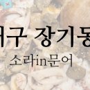 소라인(in)문어 이미지