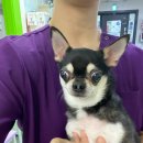 어연보건진료소 이미지