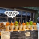 더월하 | 일본 교토 청수사 당고맛집 월하미인