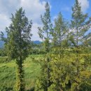 속초수미산모텔 이미지