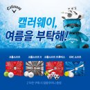 캘러웨이 이미지