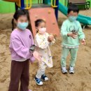 양곡초병설유치원 이미지