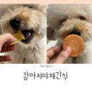 바른멍쿡 | 바른멍쿡 강아지수제간식 고기 간식 대신 국내산 야채간식으로 급여해본 후기