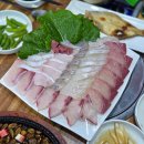 탐나종합어시장 의왕포일점 | [탐나종합어시장 의왕포일동점] 신선한 활어회를 종류별로 맛볼 수 있는 의왕 인기 맛집