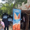 2탄 드라마 굿파트너 촬영지 가평 남이섬 유나순례 이미지