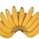 누리과일 이미지