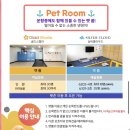 한일실버케어 | 배타고 제주(완도↔제주) 한일고속훼리 골드스텔라 스페셜펫룸 이용 후기