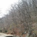 설피원
