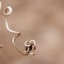 건진건설1 이미지