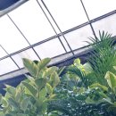 혜린농장 이미지