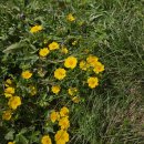 다리집동부산점 | 이탈리아 돌로미티 여행 동부 하루 코스 추천 - 라가주오이, 친퀘토리, 기아우패스 후기