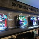 스카이 브릿지 PC 이미지