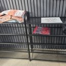 신불산 베이스캠프 오토캠핑장 이미지