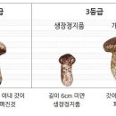 금일농산