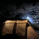 가평설악 5년동안 주변에 알려주지않았던.. 숨은 벚꽃캠핑장-하늘계곡캠핑장