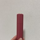 힌스 누 블러 틴트 누 얼루어 솔직 후기 - 비현실적 블러의 완성 💄