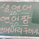 365홍가네