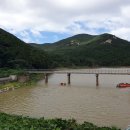 완도11호 이미지