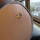 엄찬섭이비인후과의원 | (나만 괜찮나...)30대 모더나 1차 접종 후기 /부작용
