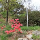 상남면보건지소 이미지