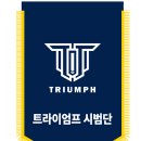 트라이엄프태권도
