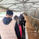 포도밭 옆 펜션 이미지