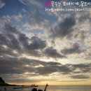 왕산해수욕장 이미지