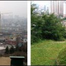 조경 선생 묘 이미지