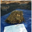 대지초등학교 이미지