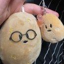 수문길 | 훅 떠나자, 강릉으로 [강릉 여행/당일치기]