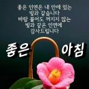 인고고 이미지