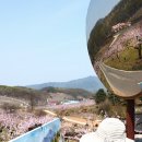 차리인동네 이미지