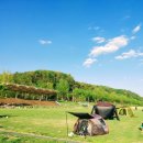 공릉천문화체육공원 농구장