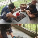 Fairview Penang: To plant a garden is to believe in tomorrow 이미지