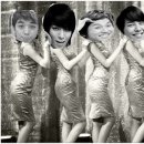 디비디글로벌 이미지