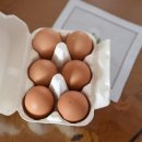 부원농장 이미지