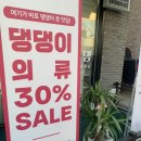 푸르댕 | 청주 무인반려목욕탕 추천 : 오창 푸르댕 2호점 방문 후기