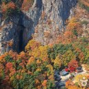 금오산도립공원 올레길 화장실 이미지