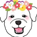멍빵 네이버블로그