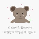 송파역필라테스 르무드필라테스 체계적인 수업으로 여름맞이 다이어트 시작한 솔직 후기