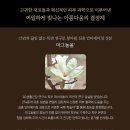 퍼스트기획 네이버블로그
