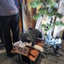 청라 안주 하이볼 존맛 술집 수작 내돈내산 솔직후기