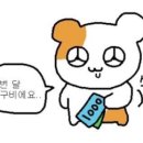현대한우 이미지