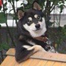 씨스컴