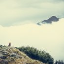 오르고내리는길 이미지