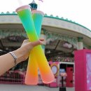 레인보우월드 네이버블로그